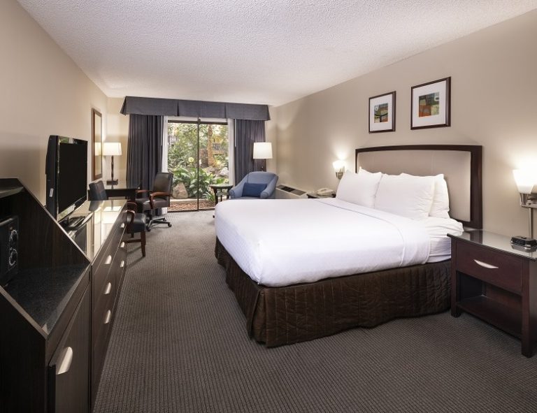 standard guest room