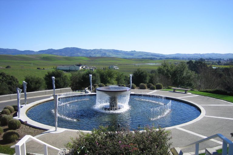bay area wineries