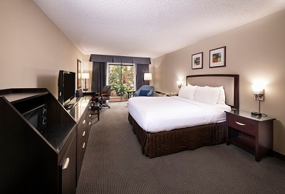 King Bedroom
